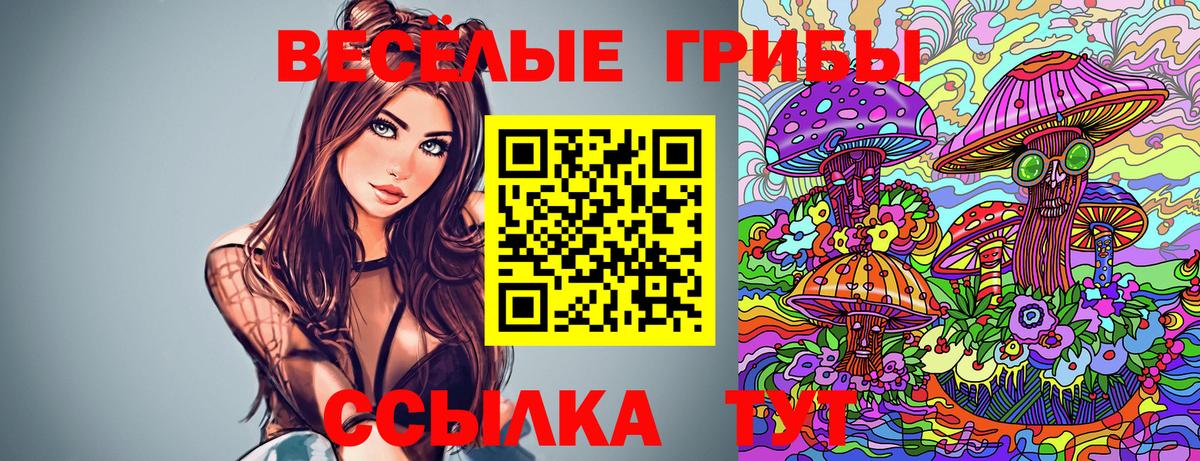 Галлюциногенные грибы Psilocybine cubensis Ступино